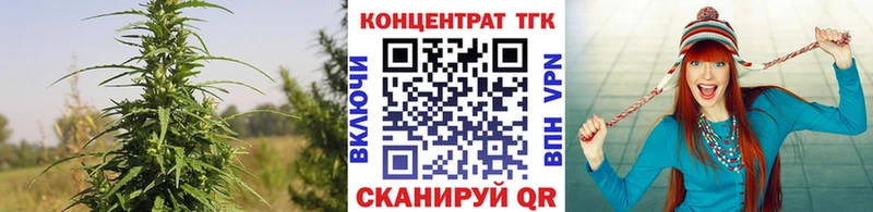 ТГК гашишное масло Ессентукская