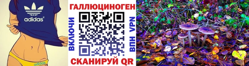 закладка  Ессентукская  Галлюциногенные грибы ЛСД 