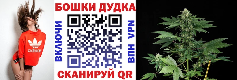 Канабис ГИДРОПОН  где купить наркоту  Ессентукская 